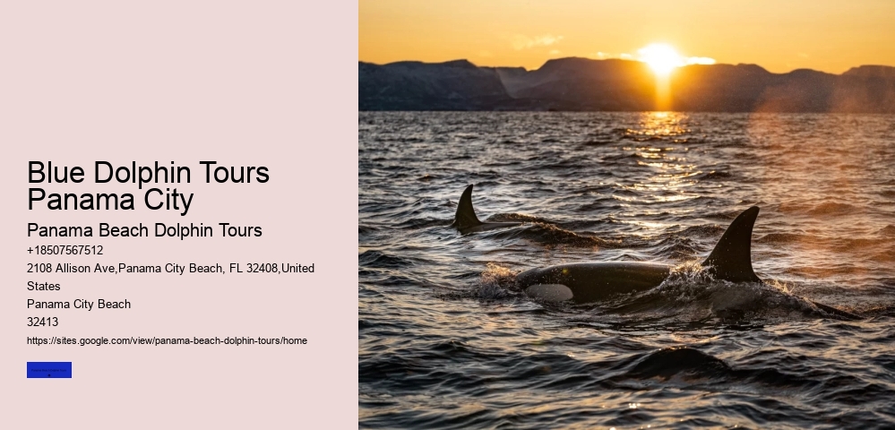 Blue Dolphin Tours Panama City