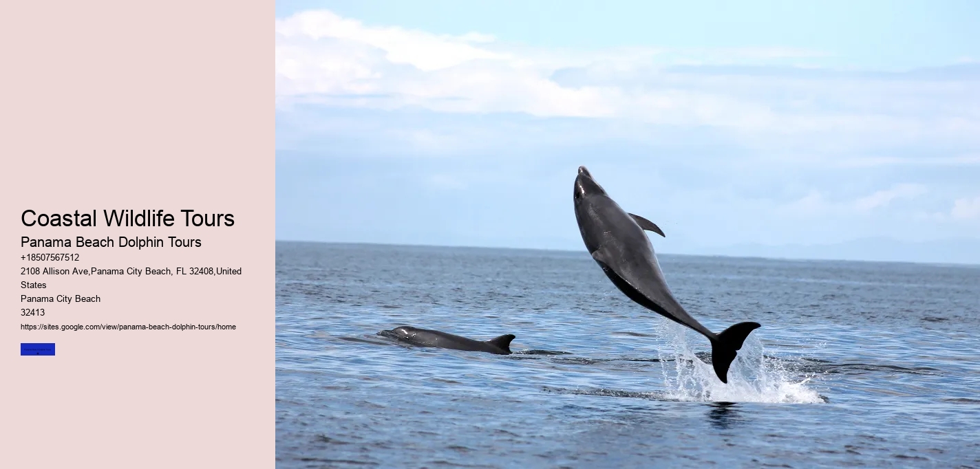 Coastal Wildlife Tours