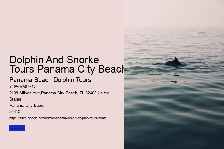 Dolphin And Snorkel Tours Panama City Beach