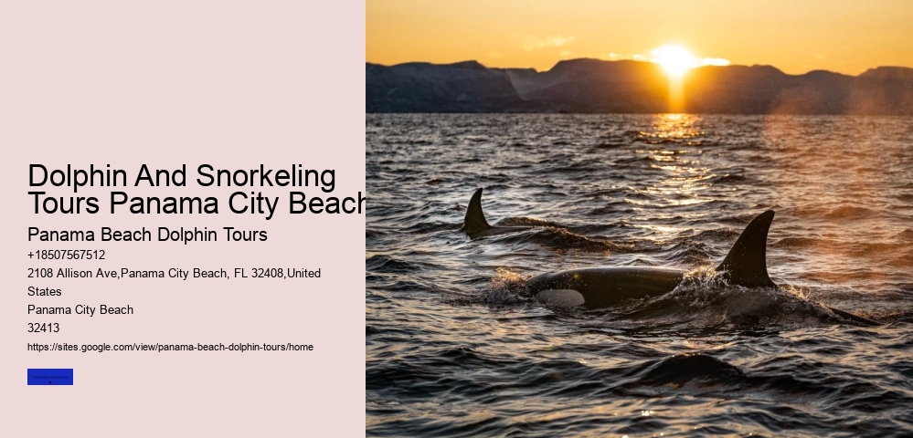 Dolphins Have The Intelligence And Empathy To Be Potentially Friendly To Humans