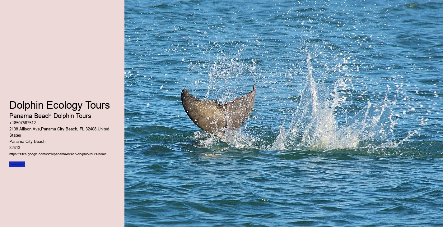 Ten Reasons Sharks Are Afraid Of Dolphins