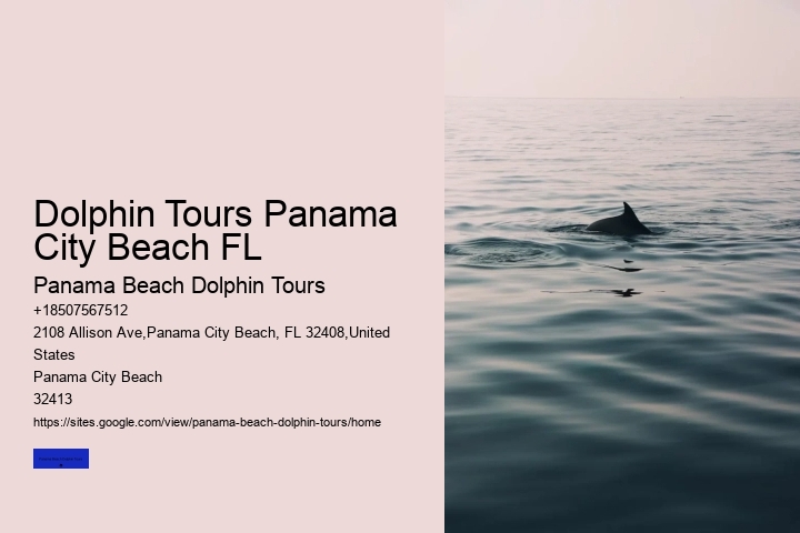 Dolphin Tours Panama City Beach FL