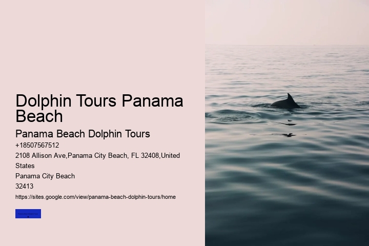 Dolphin Tours Panama Beach
