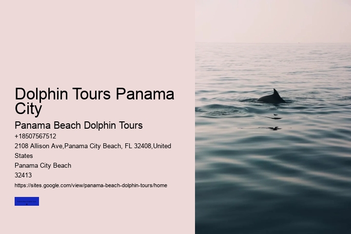 Dolphin Tours Panama City
