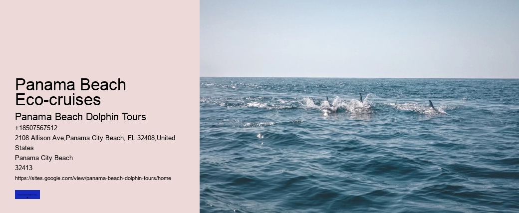 Panama Beach Eco-cruises