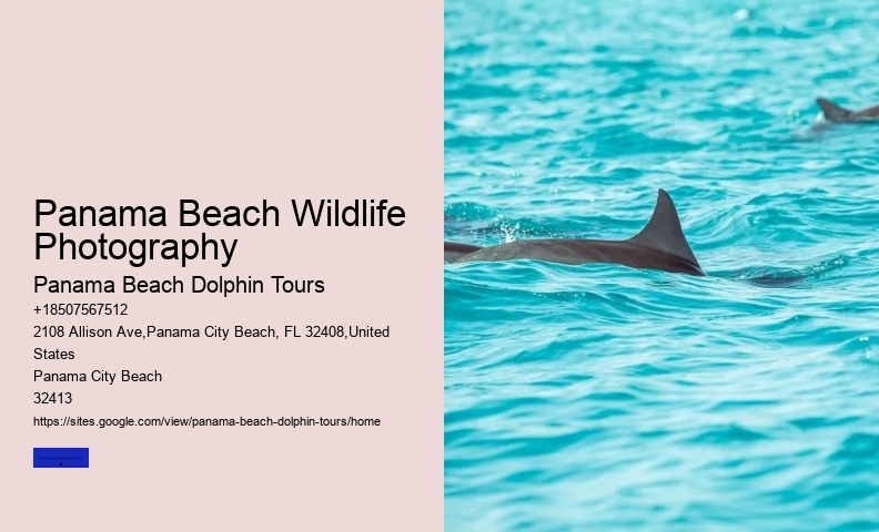 Is It Worth Going To Shell Island