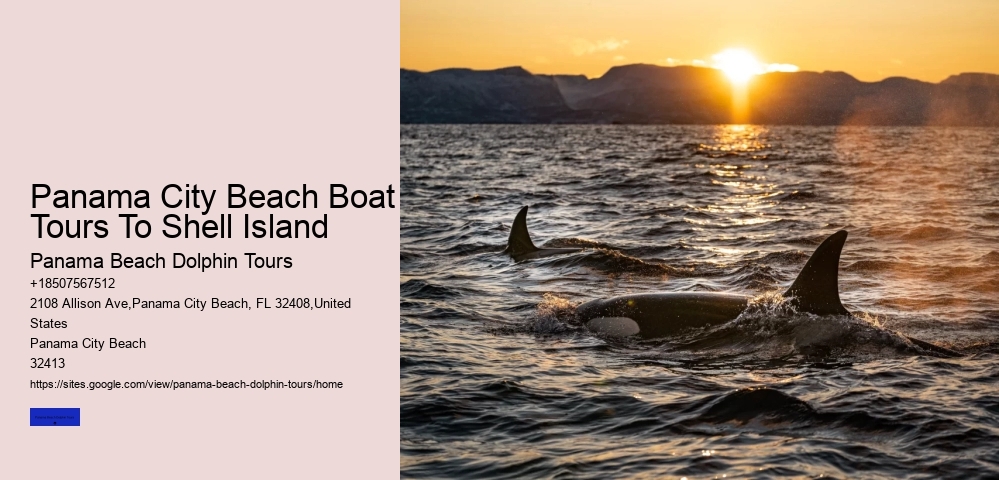 Panama City Beach Boat Tours To Shell Island