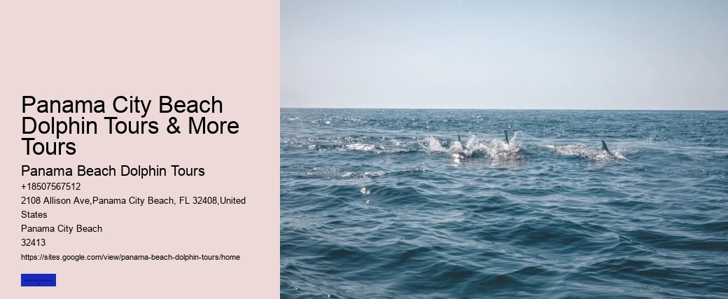 Panama City Beach Dolphin Tours & More Tours