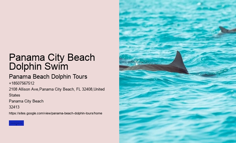 Dolphin Pod Observation