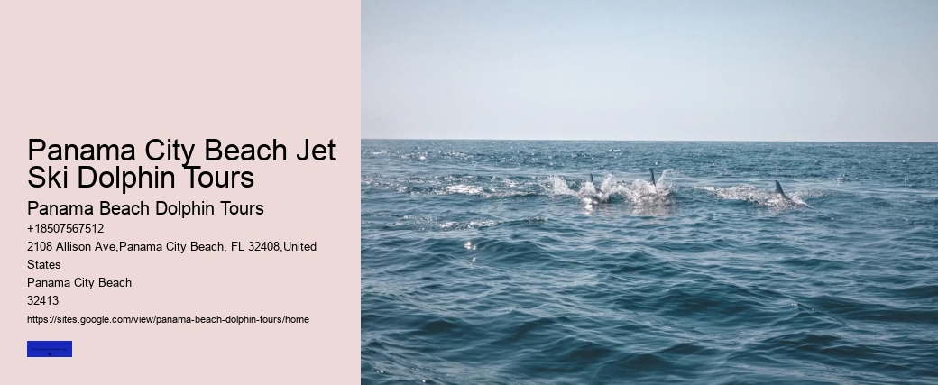Panama City Beach Jet Ski Dolphin Tours