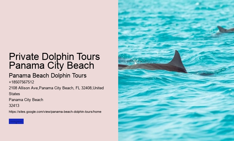 Best Places To See Wild Dolphins