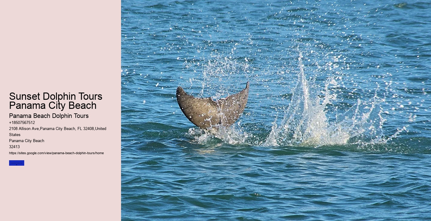 Where Do You Use The Bathroom On Shell Island